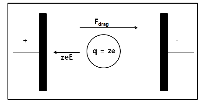 Schematic illustration of electrophoresis method.
