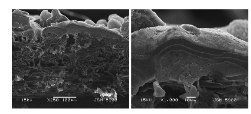 SEM images of Pt/C catalyst electrodes with triple Pt catalyst layers.