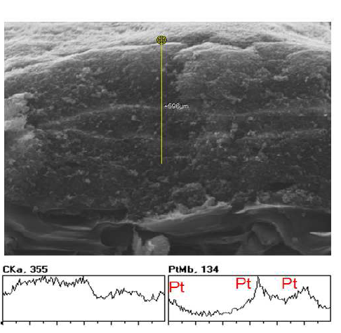 SEM image and EDX result of Pt/C catalyst electrodes with triple Pt catalyst layers.