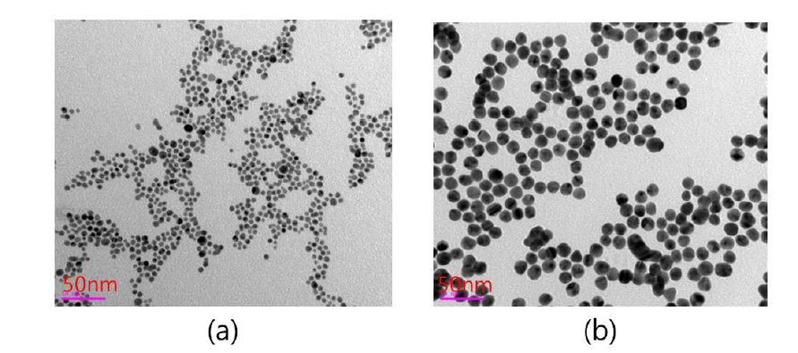 TEM images of Au colloids with (a) 5-8 nm and (b) 15-20 nm diameter.