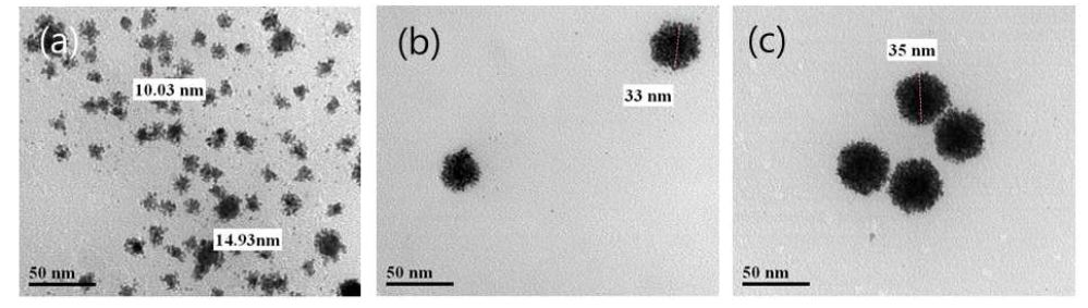 TEM images of Au-Pt core-shell colloids with core-size 15-20 nm prepared depending upon adding the amount of Pt stock solution (a) 0.5 mL, (b) 1.0mL, (c) 2.0 mL.