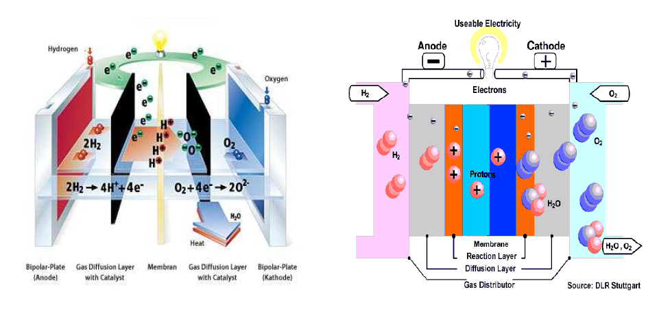 The structure of fuel cell.