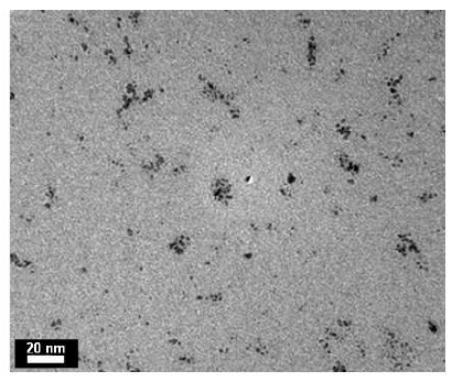 TEM image of Pt nanoparticle prepared by reduction method form HAuCl4 solution