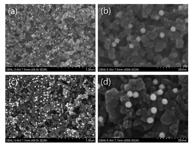 FESEM images of Au-Ptcore-shell/C electrodes prepared by electrophoresis method at different deposition time (Au core size: 15-20 nm) (a, b) 10 min, (c, d) 20 min. (a, c; ×50,000, b, d; ×200,000)