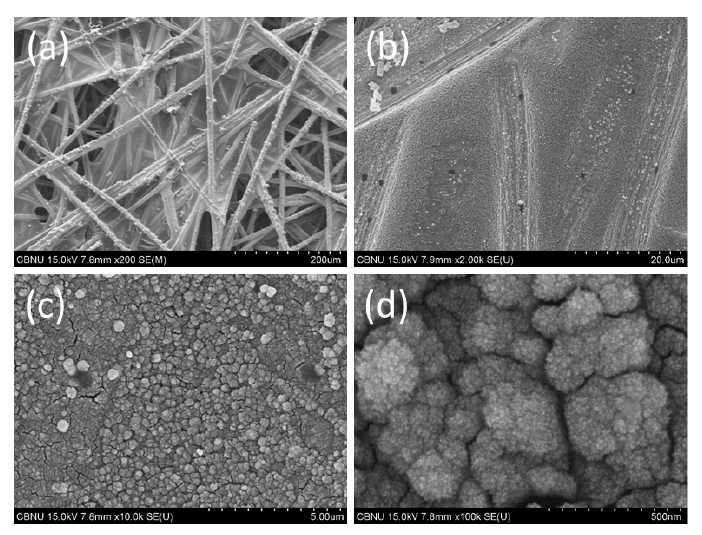 FESEM images of Pt/C electrodes prepared by electrophoresis method for 10 min deposition time on carbon paper without carbon black layer.