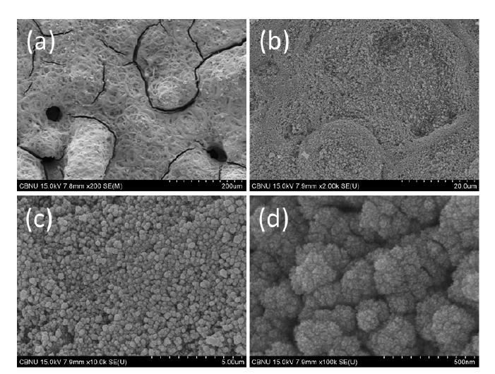 FESEM images of Pt/C electrodes prepared by electrophoresis method for 10 min deposition time on carbon paper with 58 ㎛ carbon black layer.