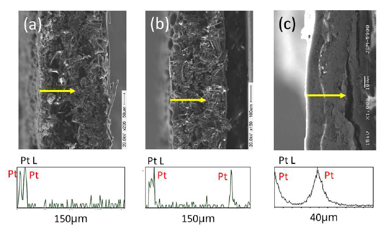 SEM cross-sectional images of Pt/C double catalyst layers electrodes with different distance between both Pt catalyst layers, (a) 8 ㎛, (b) 100 ㎛, (c) 20 ㎛.