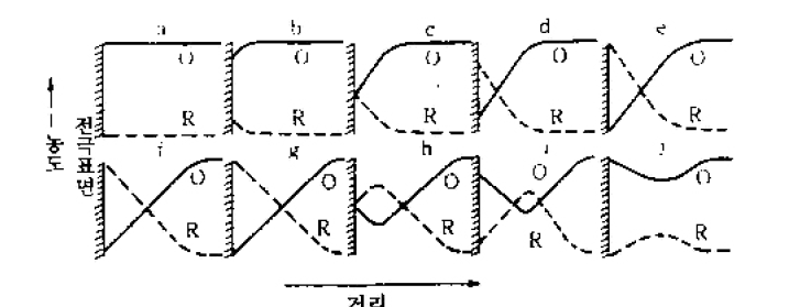 Cyclic voltammogram의 각 점에서의 전극 표면 근방에서의 O와 R의 농도분포