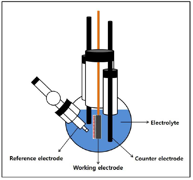 Schematic of the three-electrodes cell