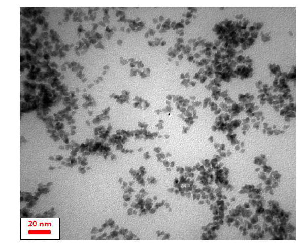 TEM image of 50Pt-50Ru alloy nanoparticle