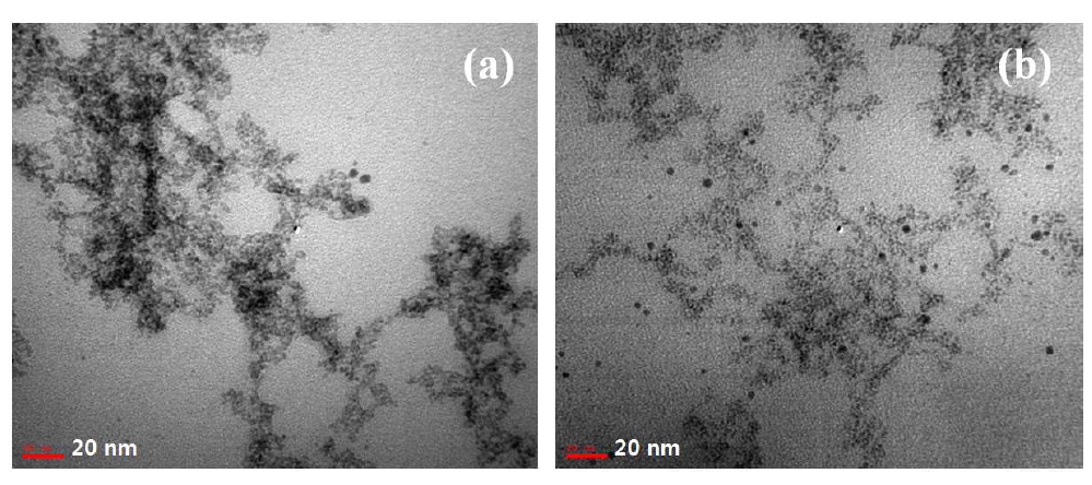 TEM images of Pt-Ru alloy nanoparticles prepared with different contents of tri-sodium citrate solution; (a) 34 mM, (b) 68 mM.