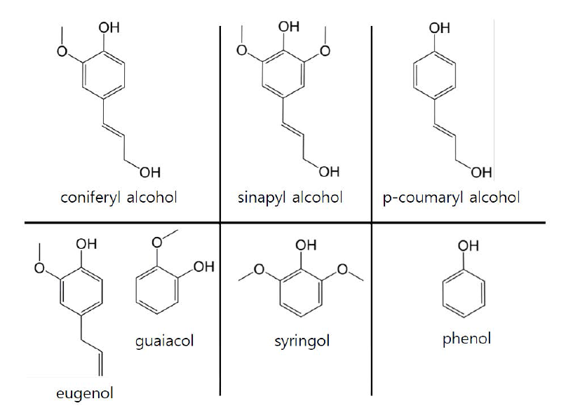 리그닌 구성체(위)와 단량체 모델 화합물(아래)