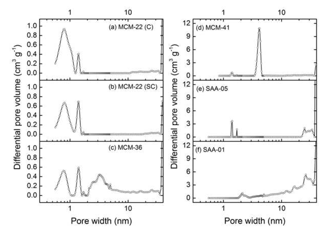 DFT pore size distribution