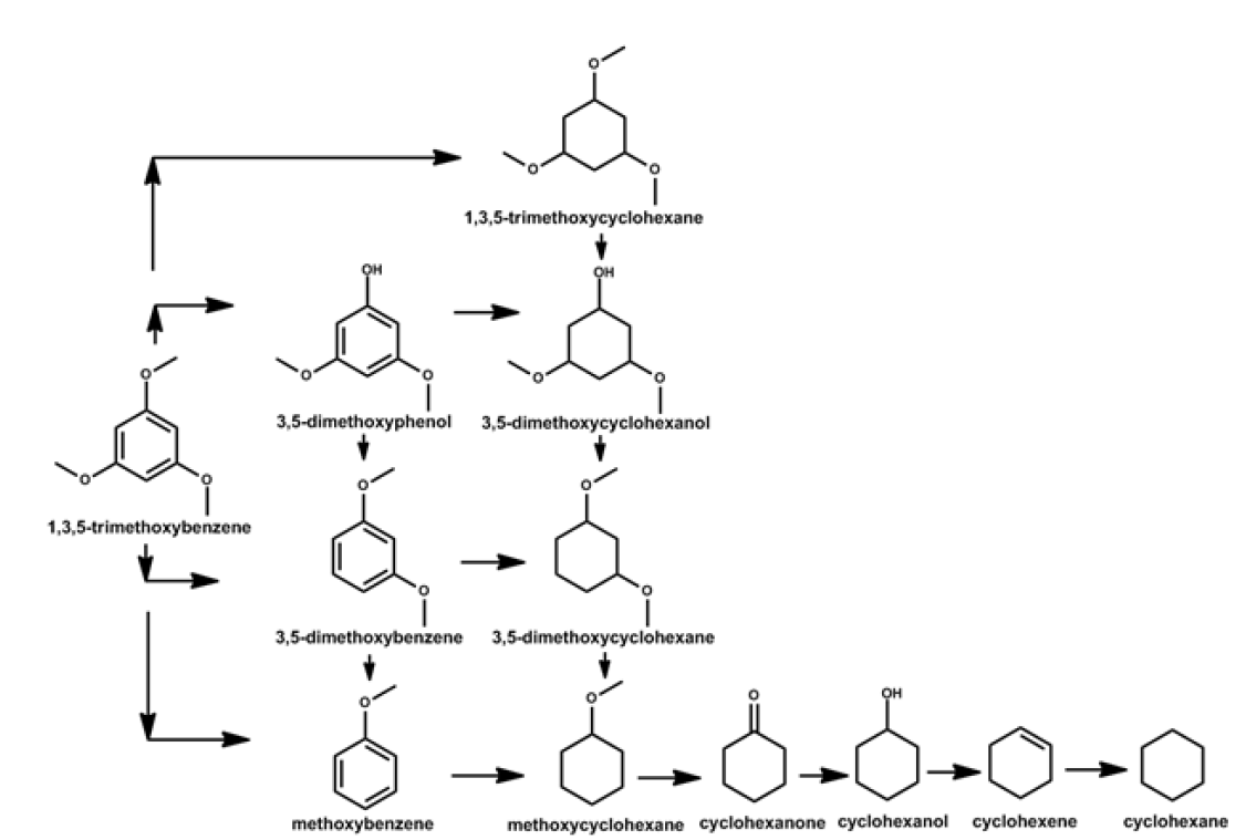 1,3,5-trimethoxybenzene의 HDO 경로 제안