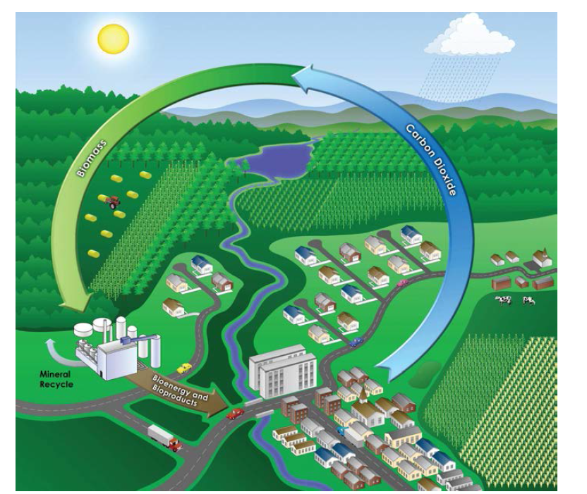 Biomass 로 부터의 에너지 및 화학원료 생산에 의한 CO2 순환을 보여주는 모식도