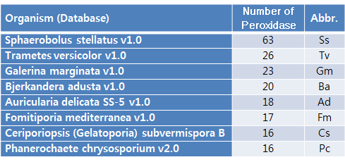 곰팡이 균주와 peroxidase의 개수의 분석
