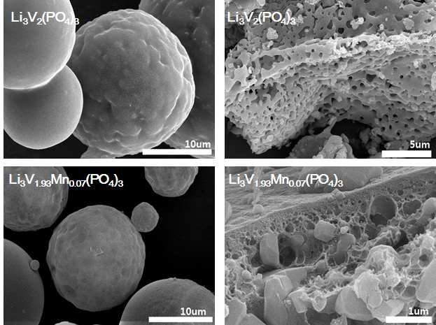 Li V (PO ) 와 Li V Mn (PO ) 의 SEM image