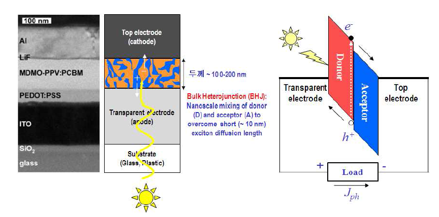 고분자 태양전지의 TEM 사진(왼쪽)과 , 소자 구조 및 에너지 다이어그램(오른쪽)