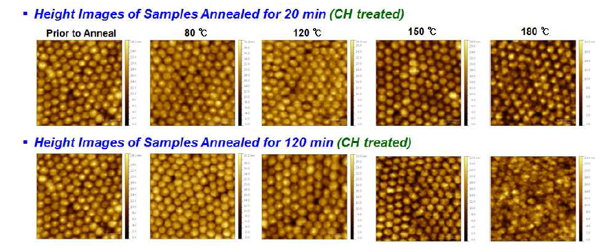 열처리 온도에 따른 P3HT:PCBM 정렬된 이종접합 태양전지의 원자력 현미경 이미지