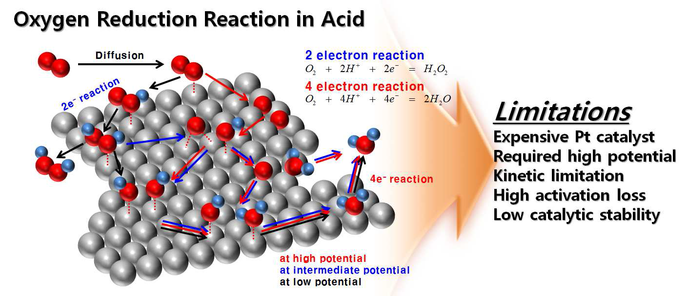저온형 연료전지 산소극의 촉매반응 메커니즘 및 한계성