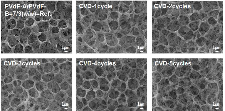 SiO2가 도포된 PVdF-부직포 분리막의 표면