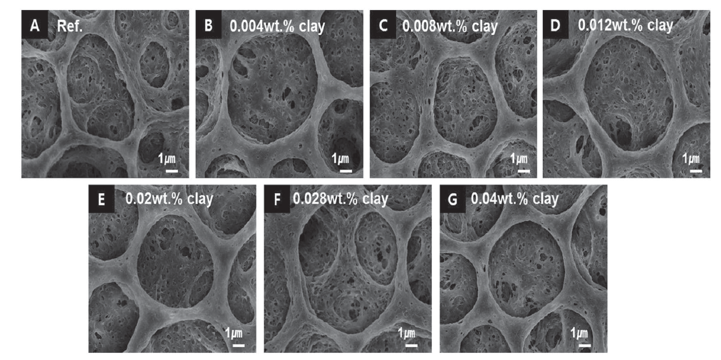 나노 분산된 판상 구조의 clay가 첨가된 PVdF-부직포 분리막의 표면