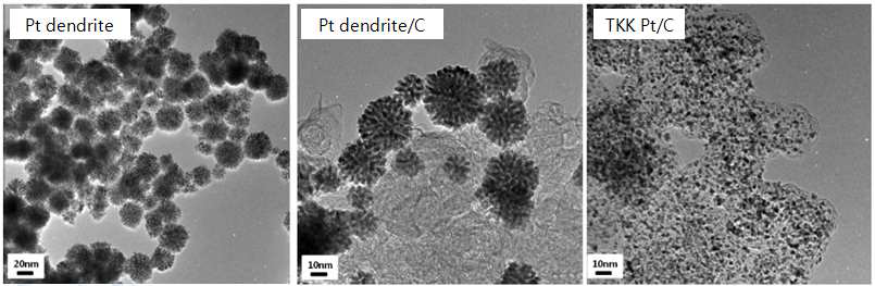 Pt dendrite, Pt dendrite/C, Pt/C의 TEM 사진.