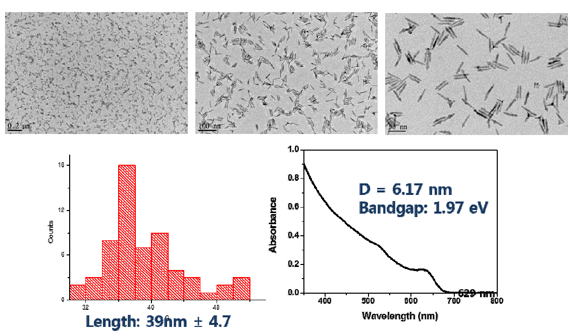 합성된 CdSe의 TEM 이미지와 기본적인 물성