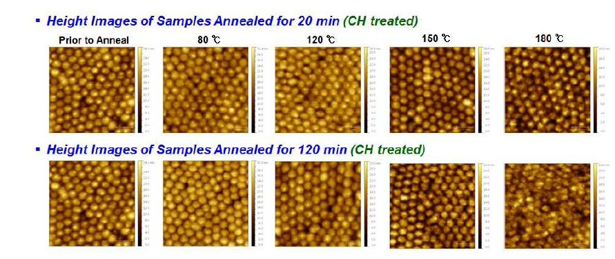 열처리 온도에 따른 P3HT:PCBM 정렬된 이종접합 태양전지의 원자력현미경 이미지