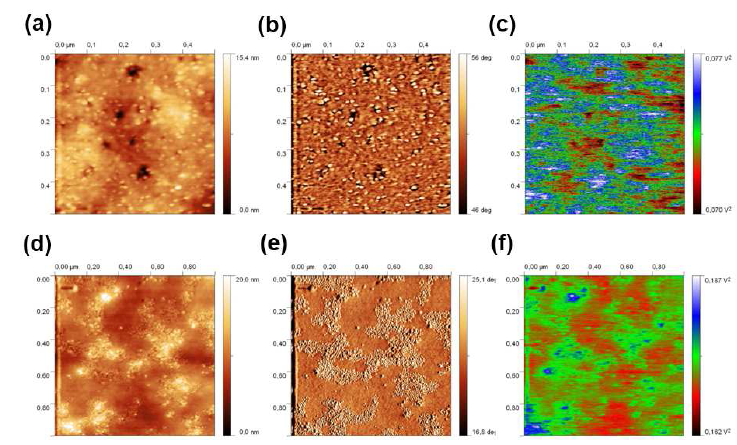 전도성고분자-나노입자 하이브리드 박막 (a, b, c) 및 혼합물 박막 (d, e, f)의 topography 사진 (a, d), phase 사진 (b, e) 및 Kelvin probe AFM 사진 (c, f)