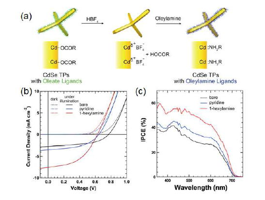 (a) CdSe 테트라포드 나노입자의 oleate로부터 oleylamine으로의 리간드 치환 방법. CdSe 테트라포드 박막의 표면처리에 따른 하이브리드 태양전지의 (b) 전류-전압 곡선 및 (c) IPCE 스펙트럼