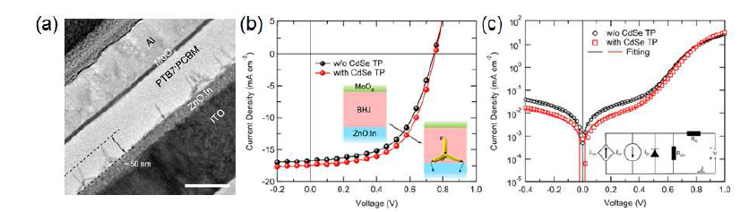 (a) CdSe 테트라포드/PTB7:PCBM 하이브리드 태양전지의 단면 TEM 이미지 (scale bar : 100 nm). (b) CdSe 테트라포드의 유무에 따른 하이브리드 태양전지의 전류-전압 곡선 및 (c) dark 상태에서의 다이오드 전류-전압 곡선