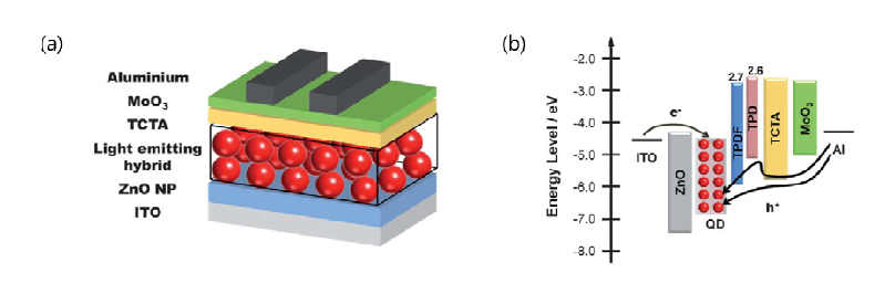 고분자-양자점 하이브리드 발광층을 적용한 양자점 발광다이오드의 (a) 구조 및 (b) 에너지 준위