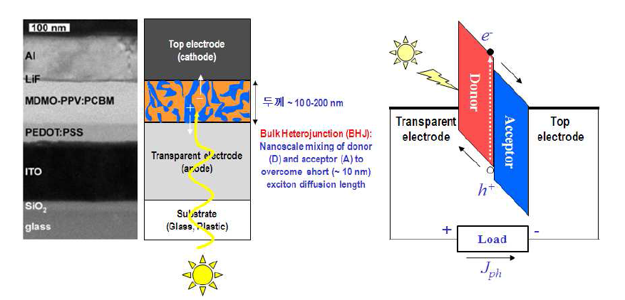 고분자 태양전지의 TEM 사진(왼쪽)과 , 소자 구조 및 에너지 다이어그램(오른쪽)