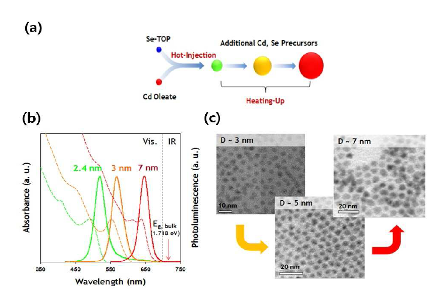 (a) 본 연구진이 고안한 양자점의 합성 및 크기조절에 대한 합성모식도 및 우수한 크기 균일도를 지니는 CdSe 양자점의 (a) 흡수 및 발광스펙트럼 및 (b) 전자투과현미경 사진