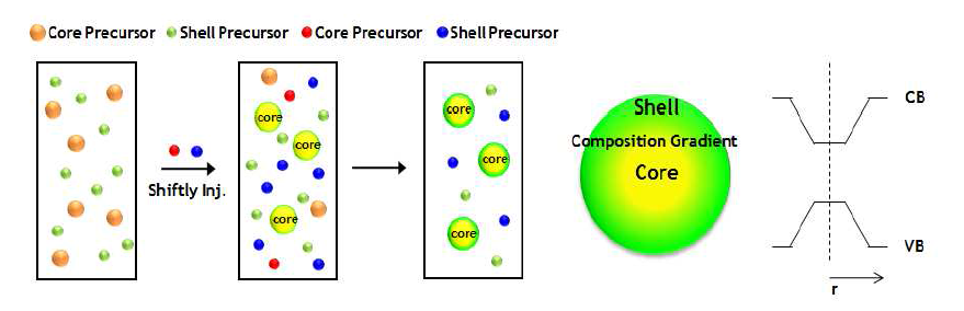 화학적 농도구배를 지니는 InP/ZnS 코어/쉘 구조 양자점의 단일단계합성법의 반응 과정(좌) 및 에너지 밴드 구조의 모식도(우)