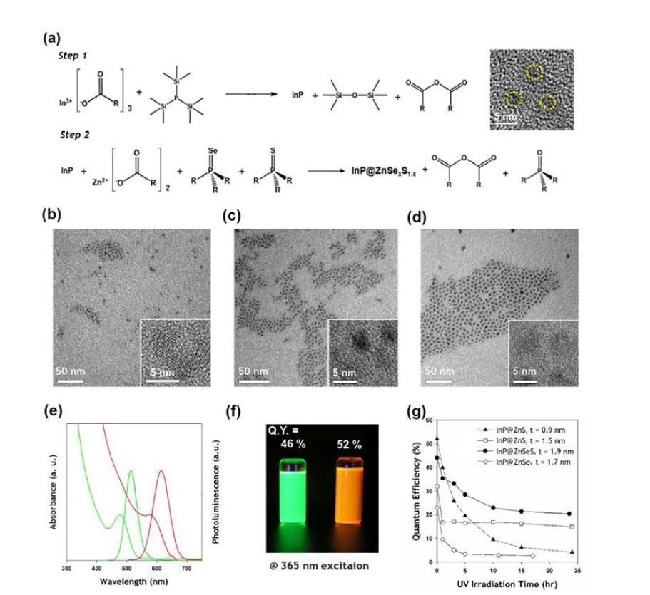 (a) III-V족 InP 코어 / II-VI족 ZnSexS1-x 쉘 양자점의 반응 메커니즘 및 InP 코어의 전자투과현미경 사진 (삽입그림), ZnSexS1-x 쉘의 두께가 (b) 1.2 nm, (c) 1.4 nm, 그리고 (d) 1.9 nm인 InP/ZnSexS1-x 양자점의 전자투과현미경 사진. (e) 녹색 및 적색 발광양자점의 흡수, 발광 스펙트럼, (f) UV 조사시의 발광 사진, 그리고 (g) 양자점의 쉘 종류 및 두께에 따른 광안정성