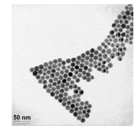 15 nm의 크기를 지니는 금 나노입자의 전자투과현미 사진