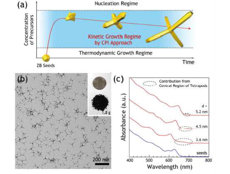 (a) 본 연구진에 의해 개발된 연속주입법의 모식도, (b) 연속주입법을 통해 합성된 테트라포드형 나노입자와 산출량 (삽입그림), 그리고 (c)가지 지름에 따른 흡수 스펙트럼.