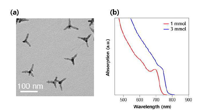 (a) CdTe 테트라포드형 나노입자의 전자투과현미경 이미지 (b) 주입된 전구체의 양에 따른 흡수 스펙트럼