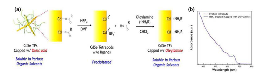 (a) 테트라포드 나노입자의 표면 개질 모식도. (b) 표면 개질 전후의 흡수스펙트럼 변화.