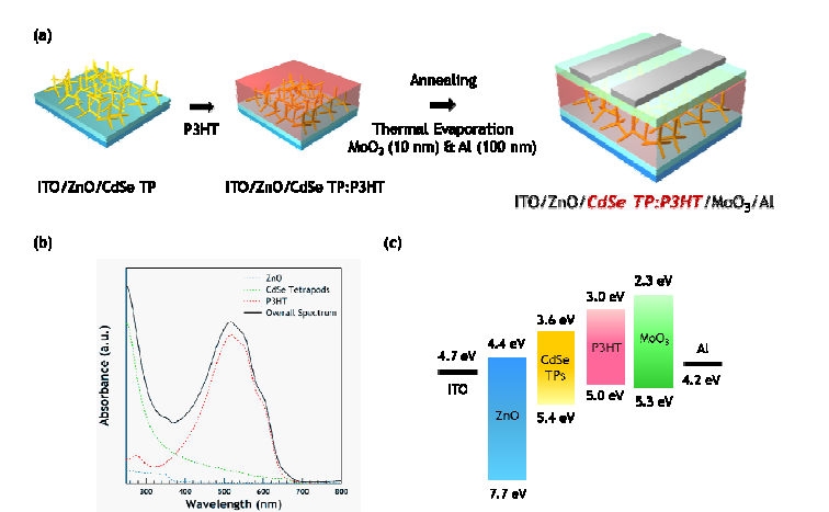 (a) P3HT:CdSe Tetrapod 하이브리드 태양전지의 제작공정, (b) 박막의 흡수 스펙트럼 및 (c) 에너지 밴드 다이어그램.