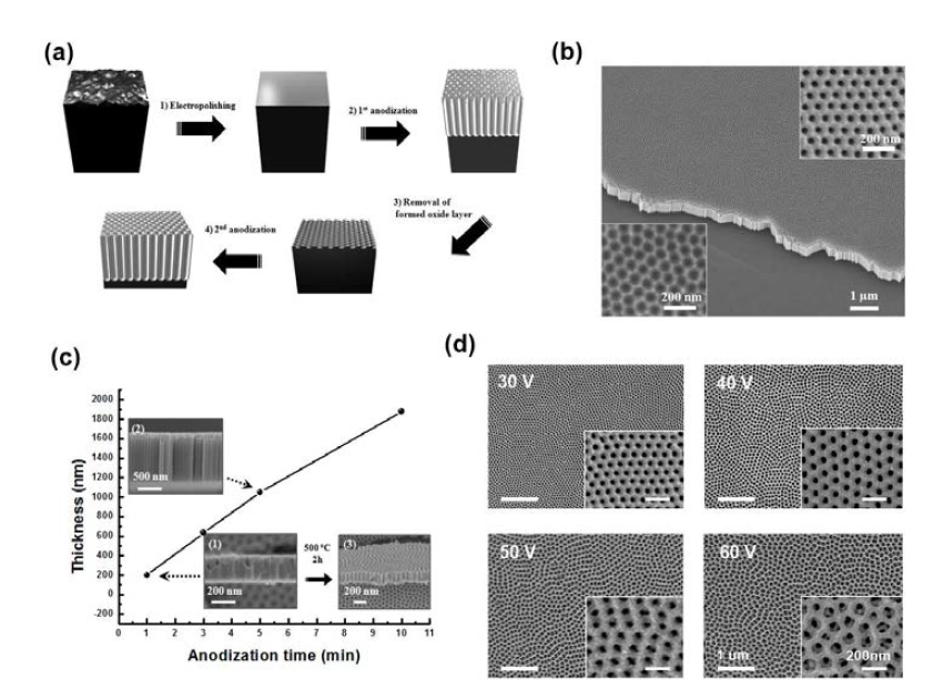 (a) TiO2 양극산화를 통한 나노틀 제작의 모식도, (b) 양극 산화를 통해 구현한 대면적 TiO2 나노틀, (c) 양극산화시간에 따른 나노틀의 길이, 그리고 (d) 양극산화시 전압에 따른 나노구멍의 크기변화