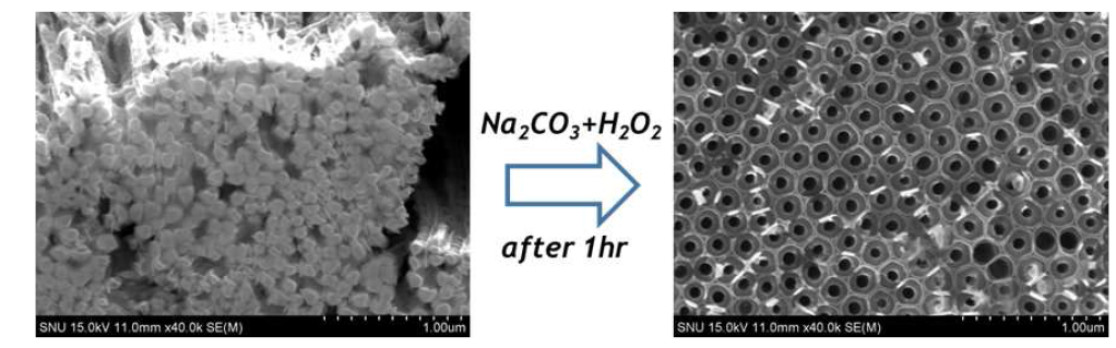 에칭전 막혀있는 TiO2 나노튜브와 에칭후 뚫령있는 TiO2 나노튜브의 SEM 사진
