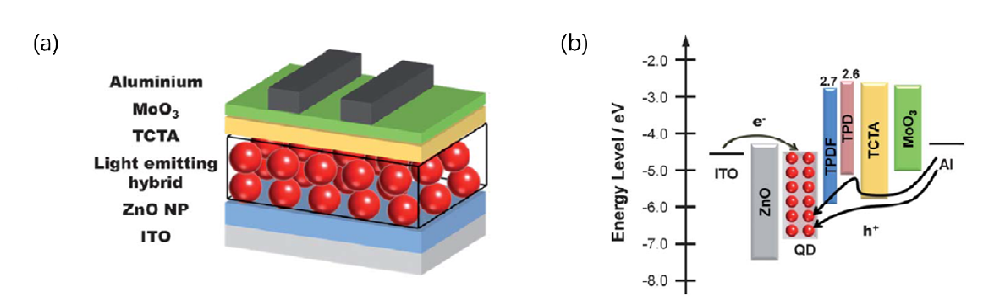 고분자-양자점 하이브리드 발광층을 적용한 양자점 발광다이오드의 (a) 구조 및 (b) 에너지 준위