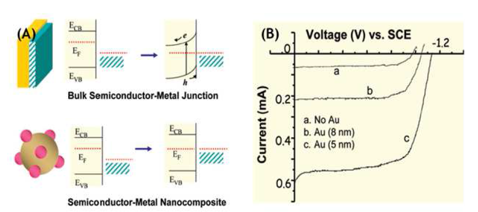 (a) bulk semiconductor-metal junction 및 semiconductor-metal nanocomposite 사이에서의 페르미 에너지 변화. (b) Au 나노입자가 결합된 TiO2나노입자의 I-V curve