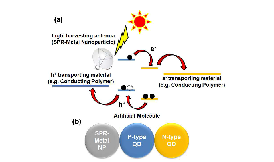 연구개념도-2, (a)인공 분자에서의 전하생성 및 이동 모식도 (b) 인공분자의 구조에 에 대한 모식도