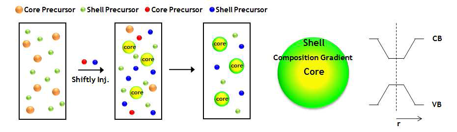 화학적 농도구배를 지니는 InP/ZnS 코어/쉘 구조 양자점의 단일단계합성법의 반 응 과정(좌) 및 에너지 밴드 구조의 모식도(우)