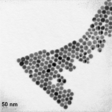 15 nm의 크기를 지니는 금 나노입자의 전자투과현미 사진