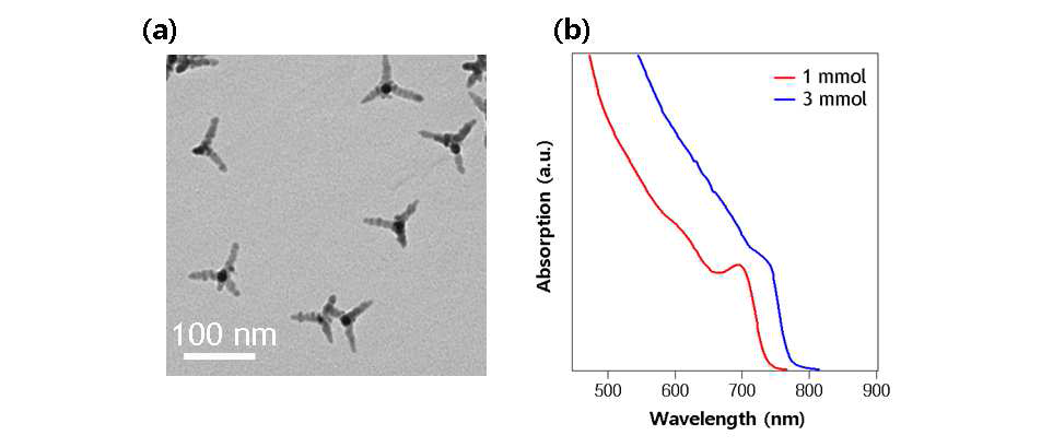 (a) CdTe 테트라포드형 나노입자의 전자투과현미경 이미지 (b) 주입된 전구체의 양에 따른 흡수 스펙트럼